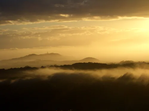 Photo from Australia