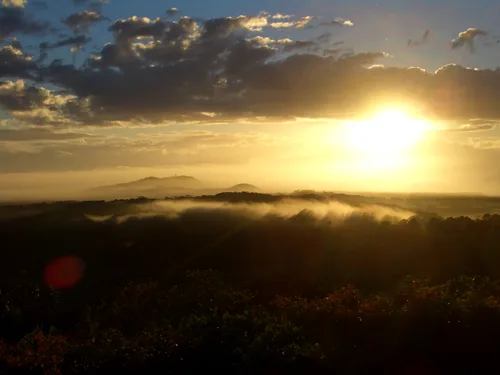 Photo from Australia