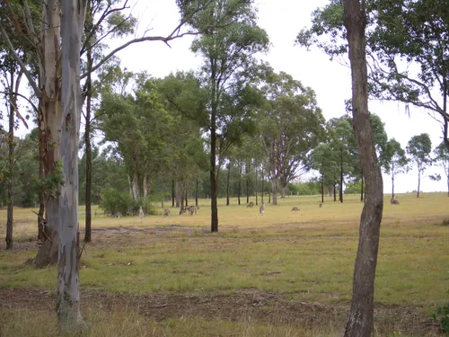 Photo from Australia