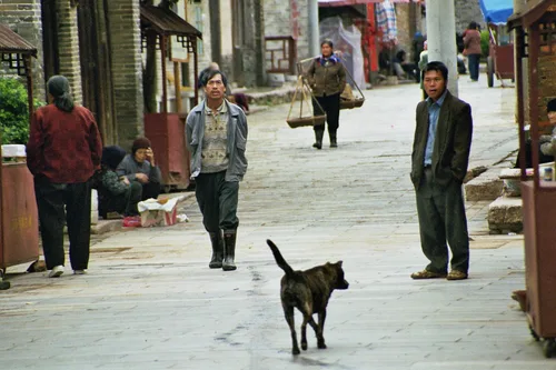 Photo from China