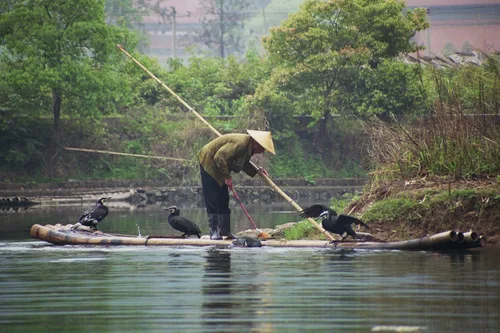 Photo from China