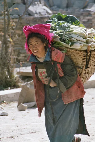 Photo from China