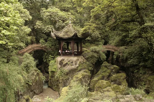 Photo from China