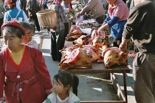 Photo from China