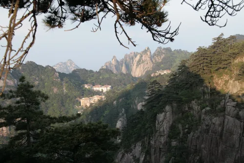 Photo from China