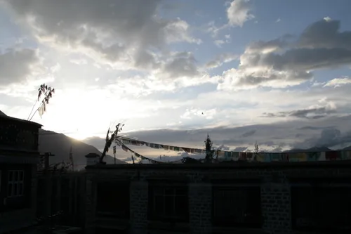 Photo from China