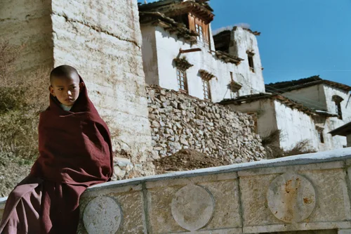 Photo from China