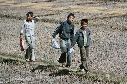 Photo from China