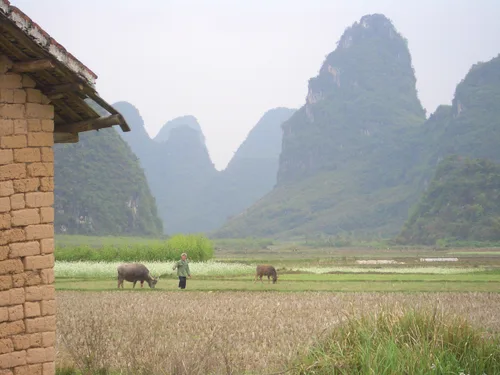 Photo from China