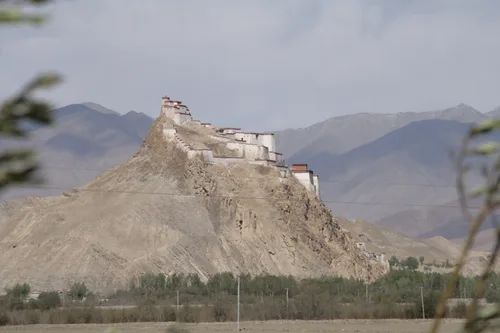 Photo from China