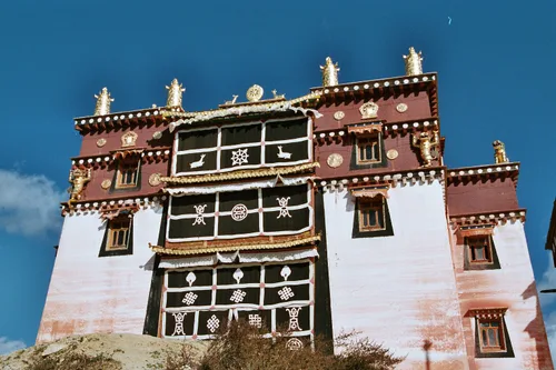 Photo from China