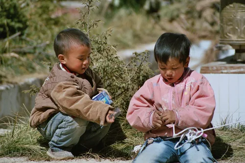 Photo from China