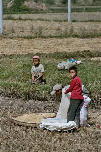 Photo from China
