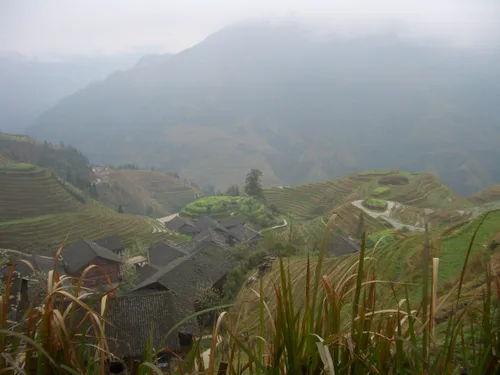Photo from China