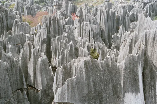 Photo from China