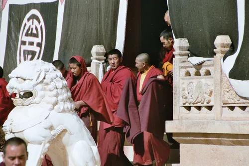 Photo from China