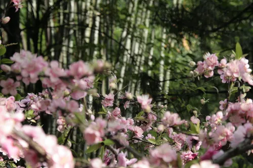 Photo from China