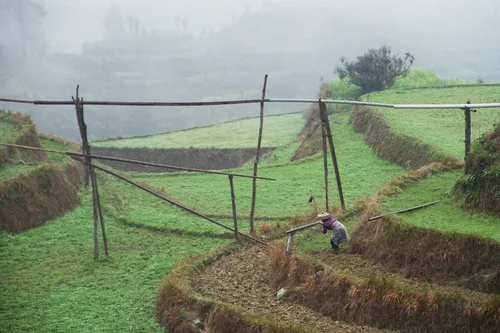Photo from China