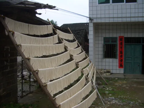 Photo from China