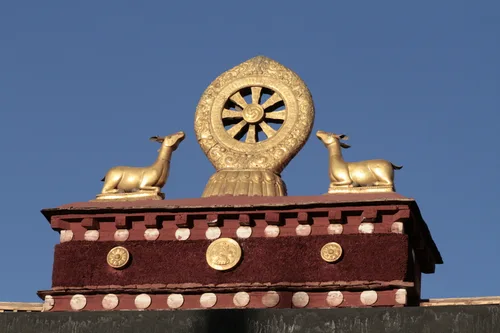 Photo from China