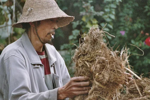 Photo from China