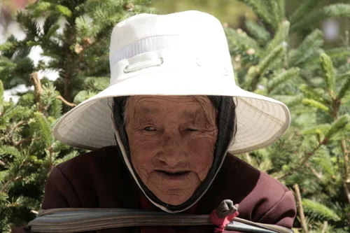 Photo from China