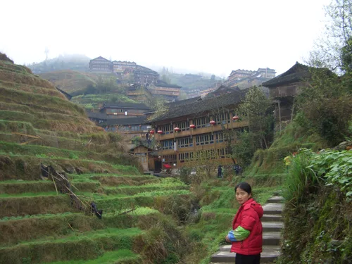 Photo from China