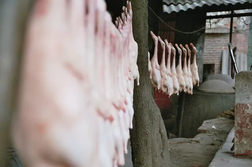 Photo from China