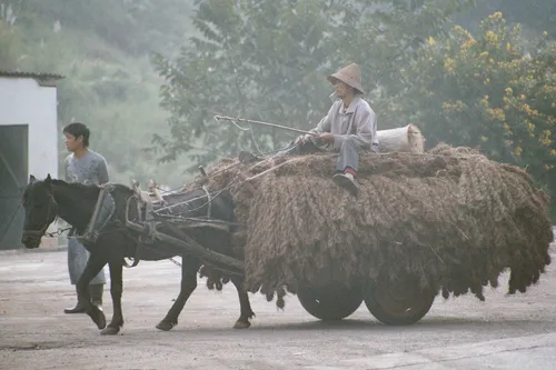 Photo from China