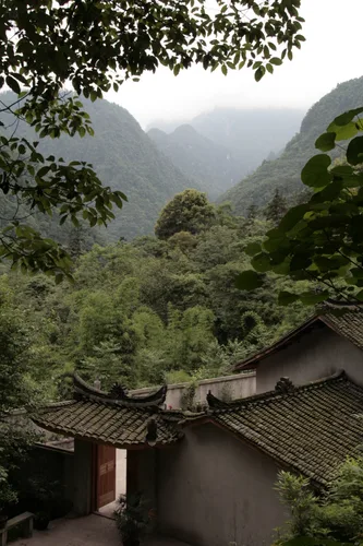 Photo from China