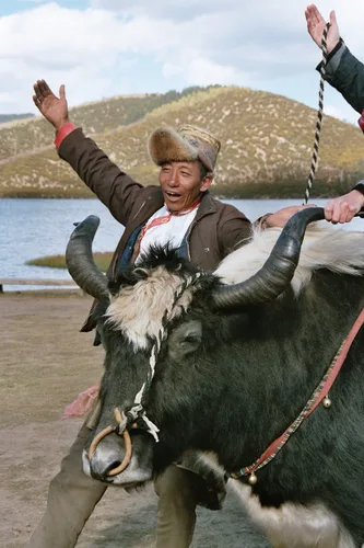 Photo from China
