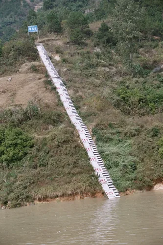 Photo from China