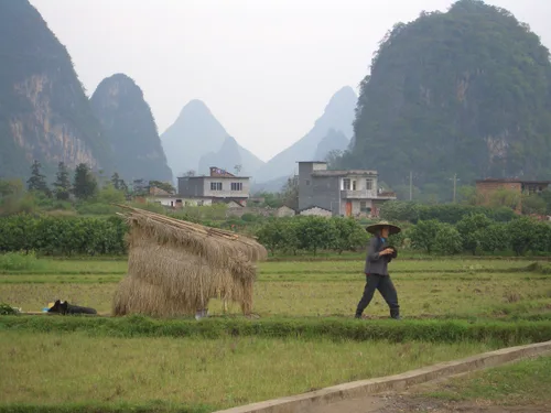 Photo from China