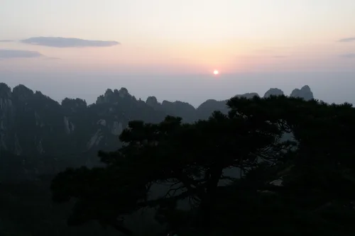 Photo from China