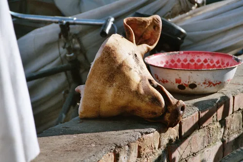 Photo from China