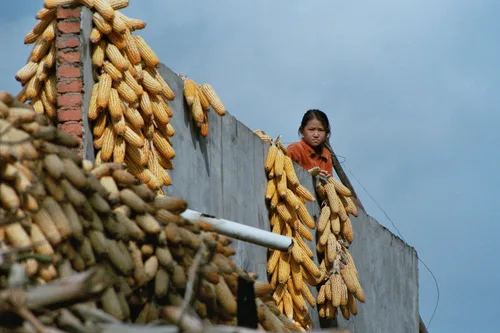 Photo from China