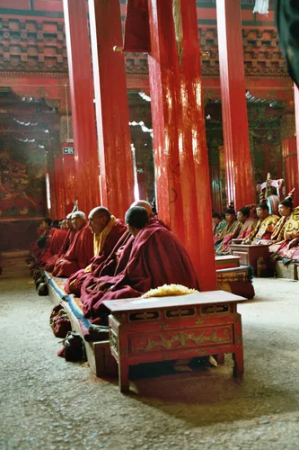 Photo from China