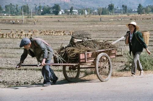 Photo from China