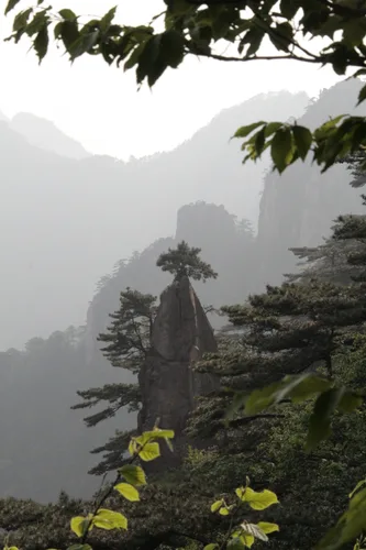 Photo from China