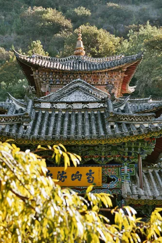Photo from China