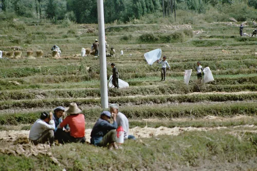 Photo from China