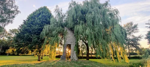 Photo from France
