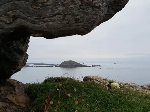 Photo from France