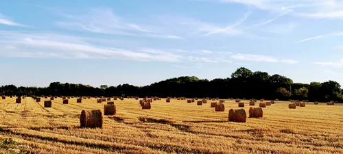 Photo from France