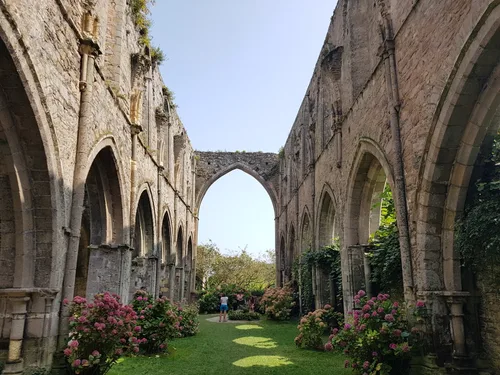 Photo from France
