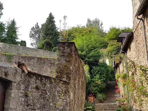 Photo from France