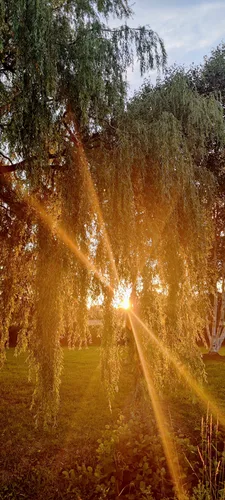 Photo from France