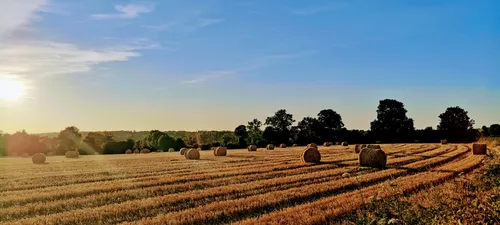 Photo from France