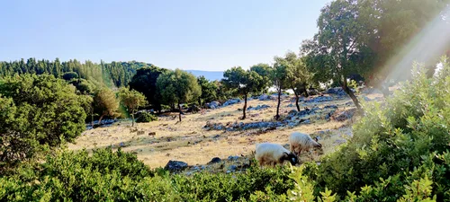Photo from Greece