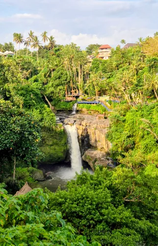 Photo from Indonesia